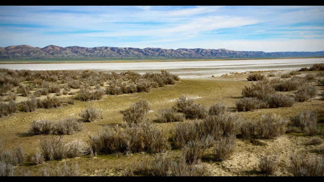 Carrizo Plain NM: How to Visit & What to See
