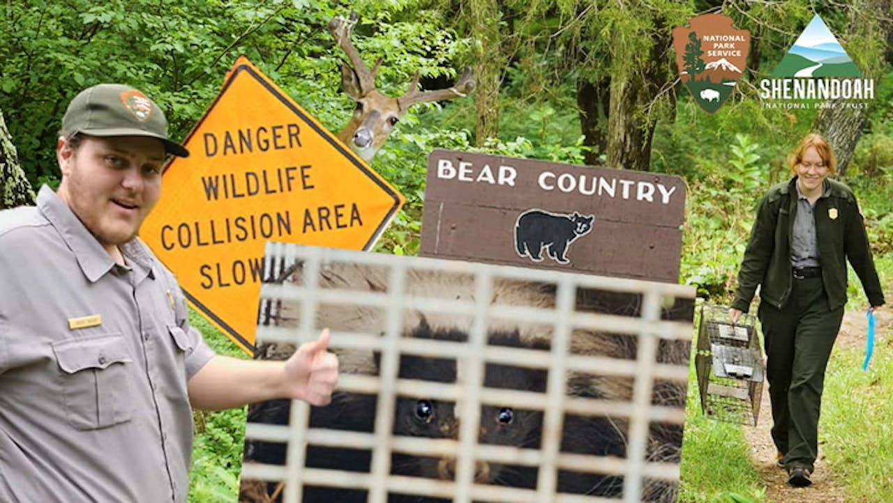 A Day With Shenandoah's Wildlife Technicians