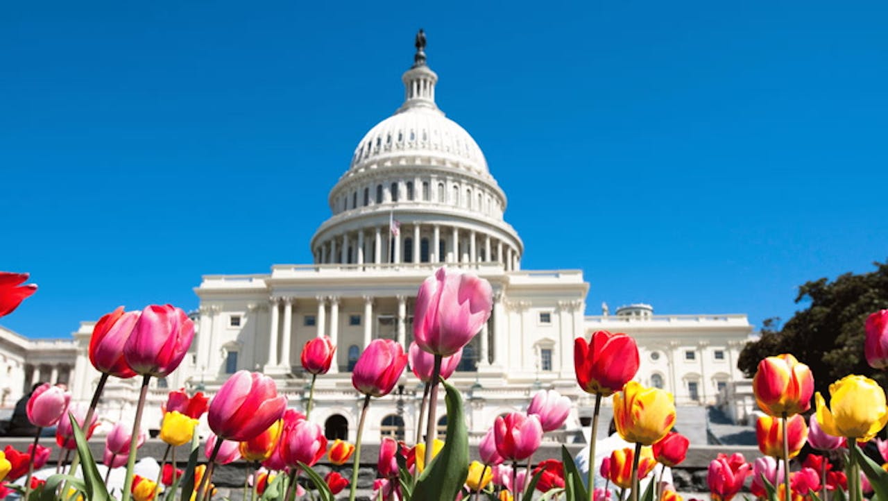 24 Surefire Tips for a Successful Trip to Washington, DC!
