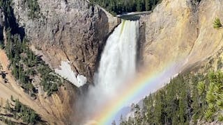 Lower Yellowstone Falls & The Grand Canyon of the Yellowstone