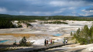 Norris Geyser Basin - Home of the Tallest Geyser in the World