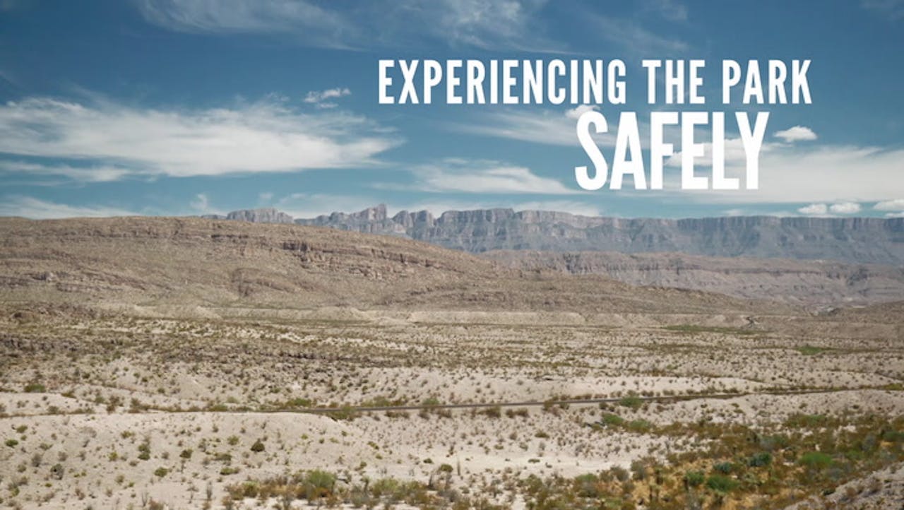 Protect Wildlife and Yourself!