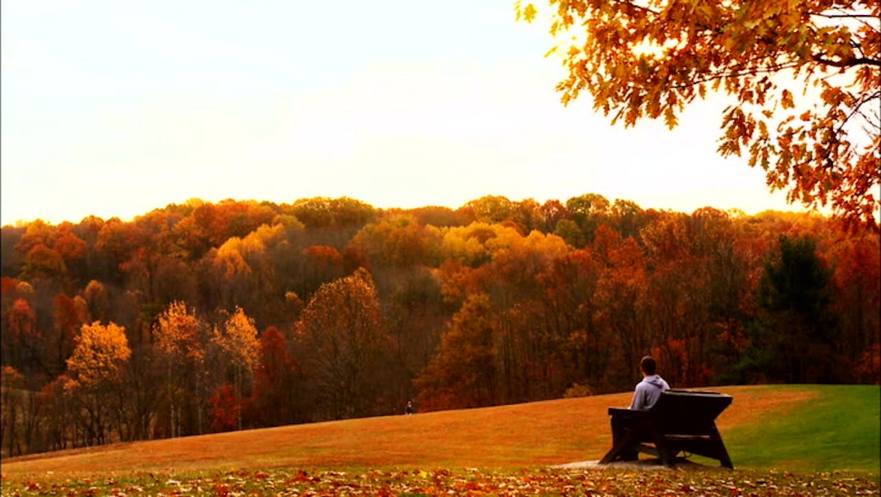 Just Outside Cleveland, Enter Another World